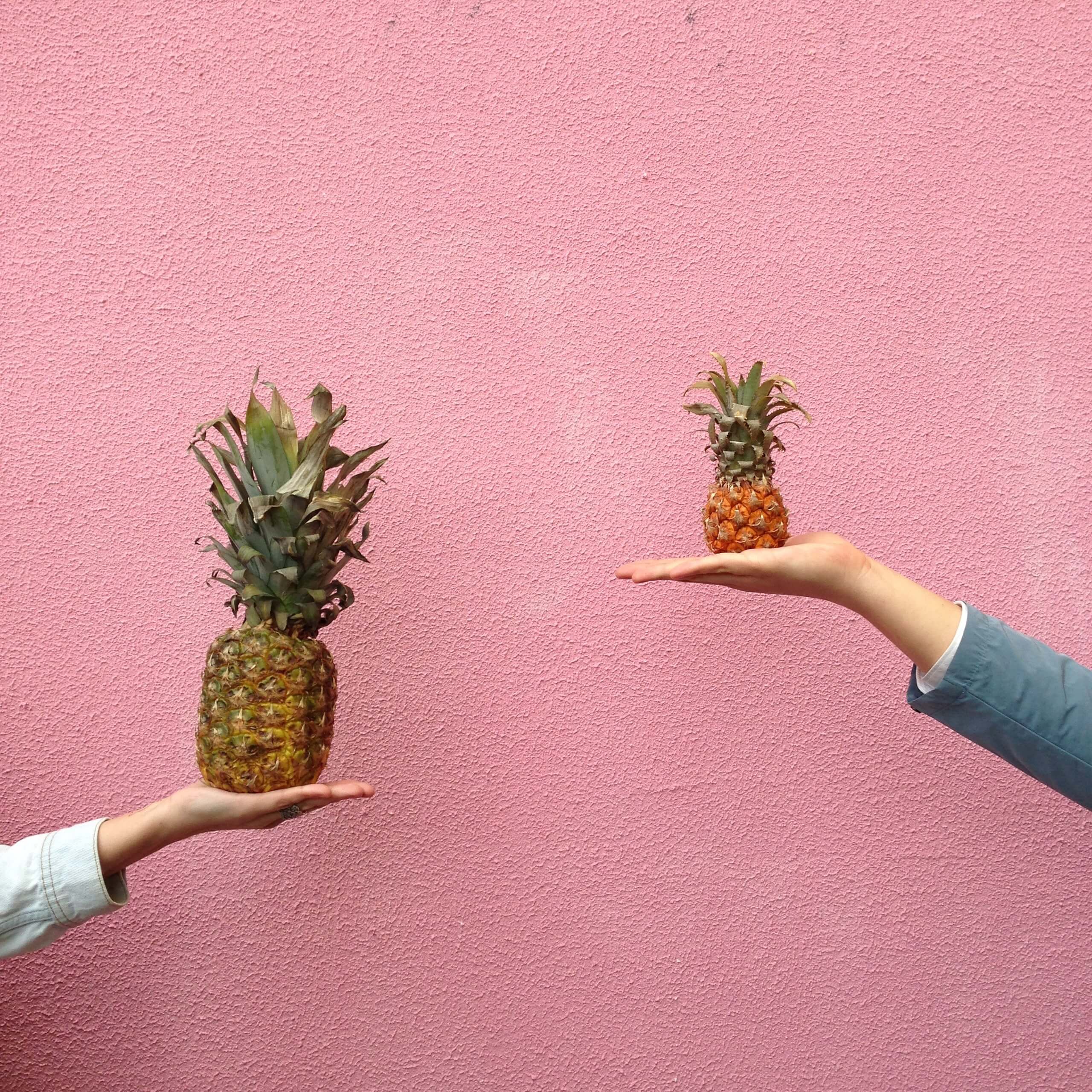 Two People Holding Pineapple Fruit on Their Palm